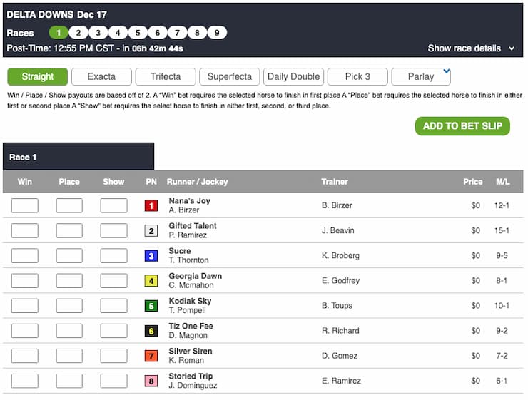 XBet Racecard Homepage - Bet Horse Racing in Maine