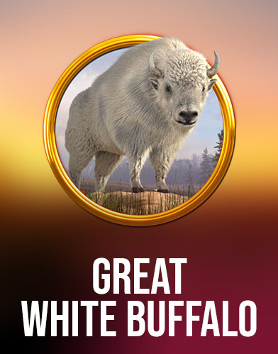 Great White Buffalo