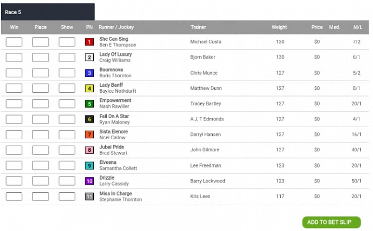 An example of a racecard from one of the best Arkansas horse racing betting sites.