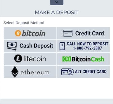 BetUS crypto deposit options