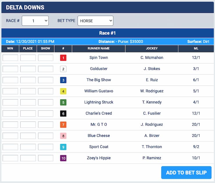 An example of a horse race card at US betting sites