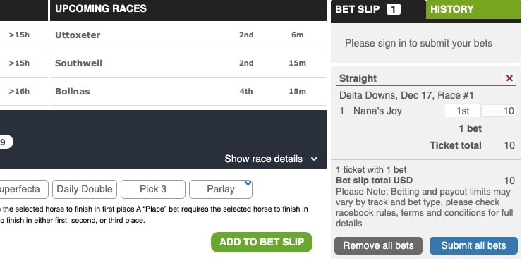 A bet slip from a MD horse racing site
