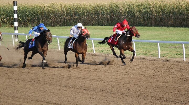 Horses running a dirt track