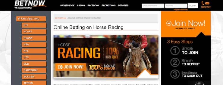 Georgia Horse Racing Betting – Comparing The Best Horse Racing Betting Sites in Georgia