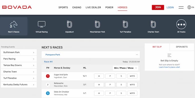 Members at Bovada can bet on AR horse races with the click of a button