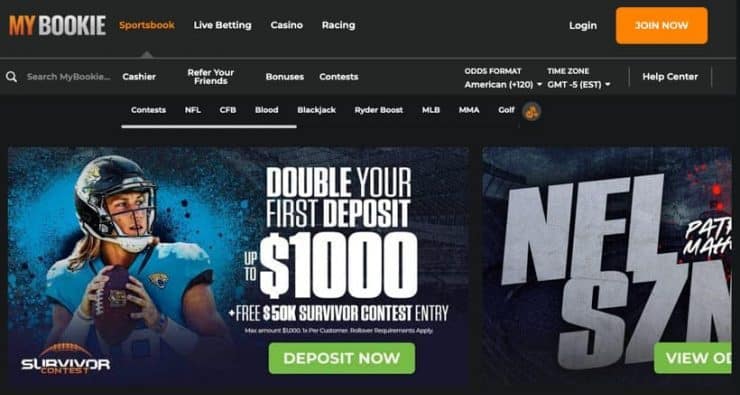 Underdog Betting – How to Perfect Your Underdog Betting Strategy