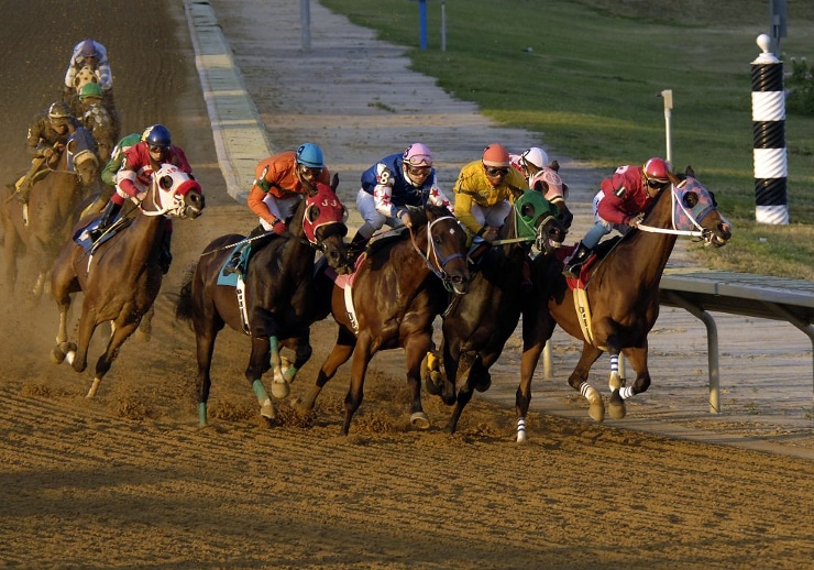 Online Horse Racing West Virginia - WV Derby