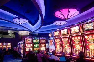 paradise casino yuma arizona