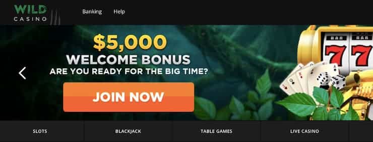 Wild Casino welcome bonus