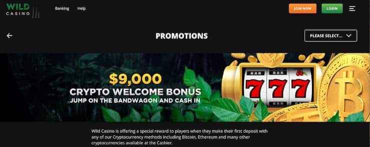 wild casino crypto welcome bonus