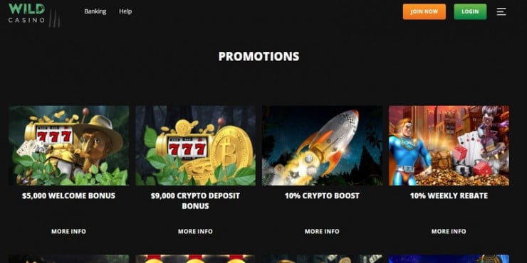 Wild Casino Promotions homepage
