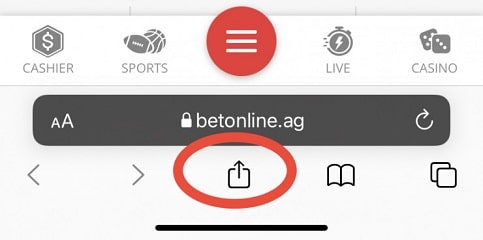 Safari menu button