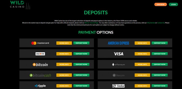Wild Casino accepts a wide range of payment options
