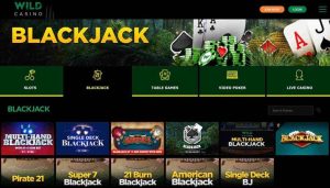 wild casino - best online blackjack casinos