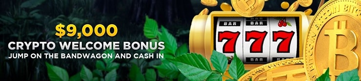 Wild Casino Crypto $9,000 Bonus Codes