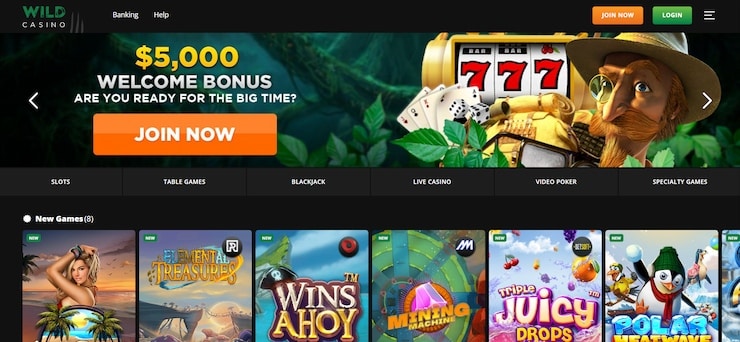 $5 deposit casinos - Wild Casino homepage and games
