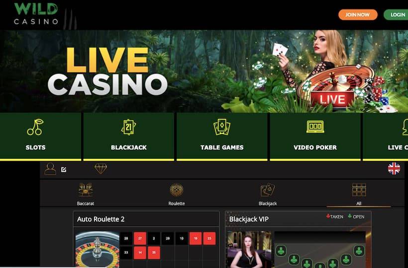 Wild Casino has great live dealer games for Florida casino players
