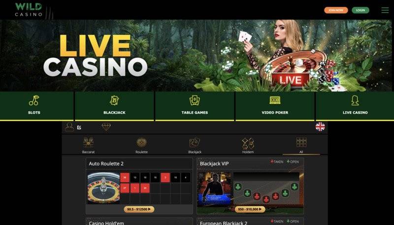 Wild Casino Live casino