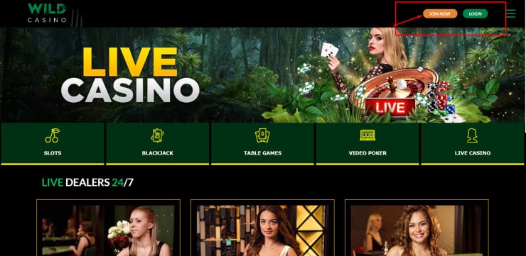 Wild Casino main page