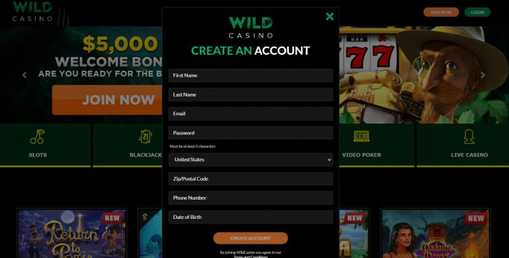Wild Casino registration form