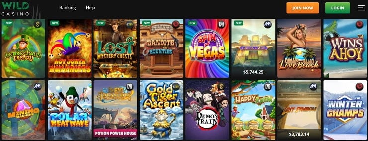 Wild Casino Online Slots