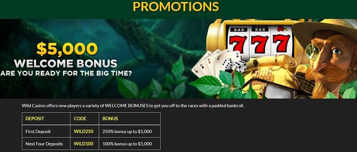 Wild Casino Bonus Package