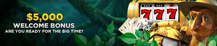 Wild Casino $5,000 Bonus Codes