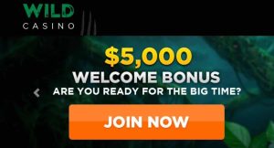 Wild Casino best craps online casino sites