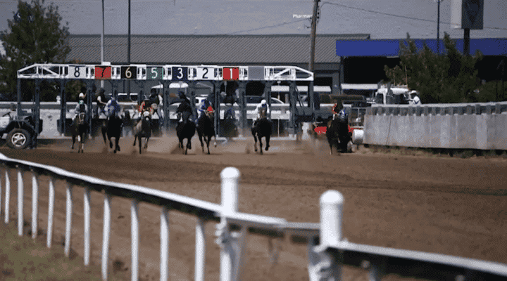 Horses racing on a track