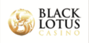 Black Lotus Casino Logo