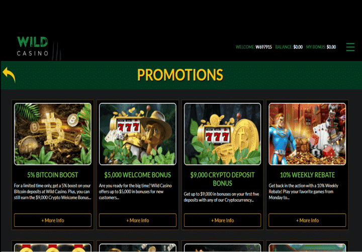 Promotions screen at Casino site. 